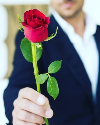 red rose barchelor.jpg