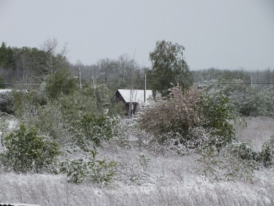S0917238.JPG