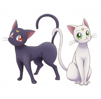 Mahoutsukai.to.Kuroneko.no.Wiz.full.2259733.jpg