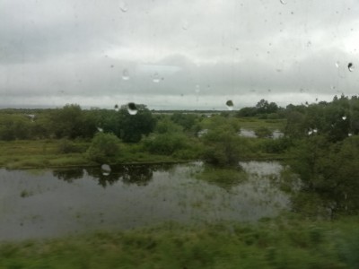 IMG_20200802_162828.jpg