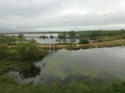 IMG_20200802_162840.jpg