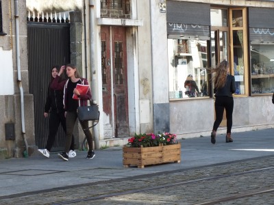 S0498128.JPG