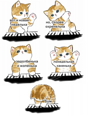 котята.jpg