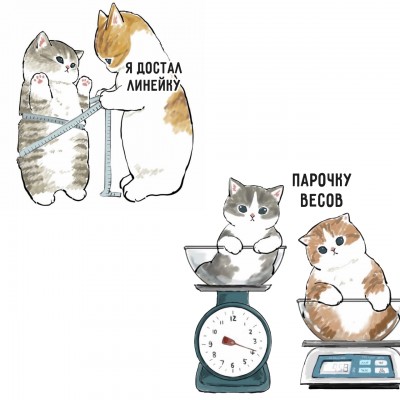 коты5.jpg