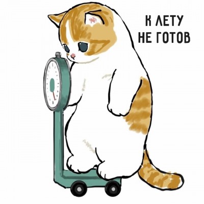 iGBPvYkCre0.jpg