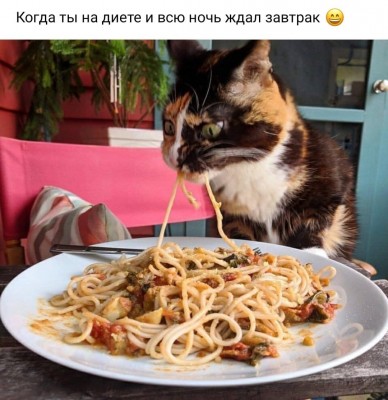 DD75F260-4CC3-42E5-8F1D-1AAD731AE77D.jpeg