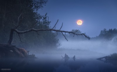 0z74591-hdr-1-kopiya-1.jpg