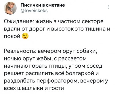 twitter-интернет-ожидание-и-реальность-дача-7968450.jpeg