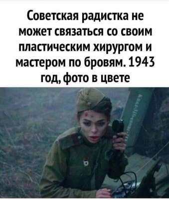 7997053.jpeg