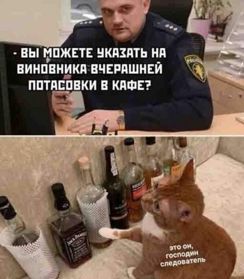 8111683.jpeg