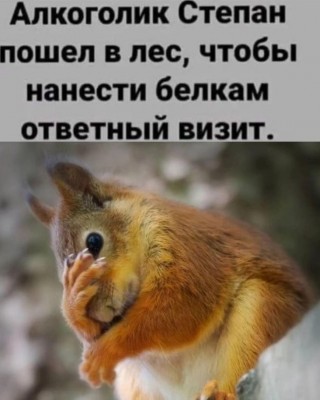 IMG_0577.jpeg