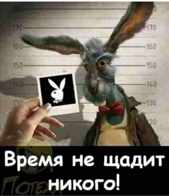 93765114e7553bbe99ad7c78c9c4bf0b.jpg