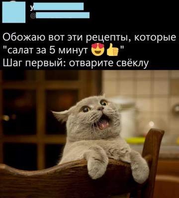 IMG_5805.jpeg