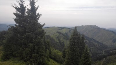 view.jpg