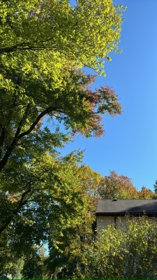 IMG_6613.jpeg