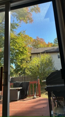 IMG_6612.jpeg