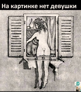 IMG_6940.jpeg