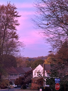 IMG_6889.jpeg