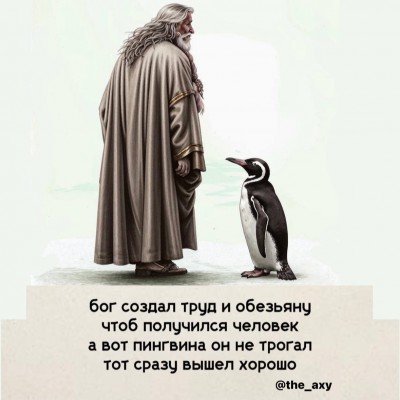 IMG_3556.jpeg