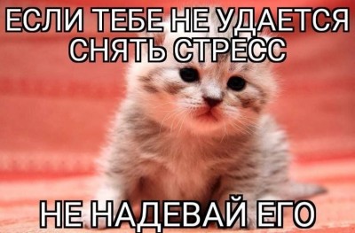 8691693.jpeg