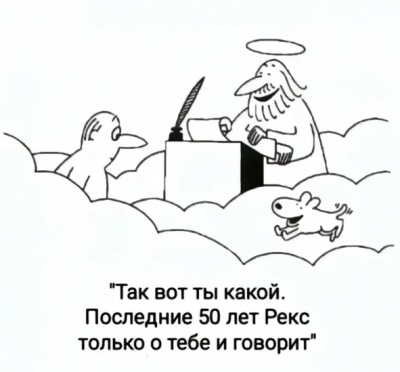 добрые-картинки-8754068.png