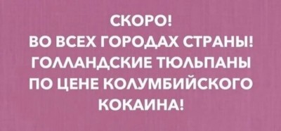 видеогифки-гифки-тюльпаны-5479046.jpeg