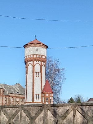IMG_20250315_162845.jpg