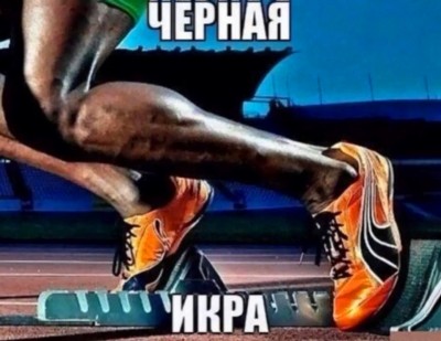 9010215.jpeg