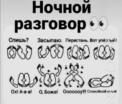 IMG_9502.jpeg