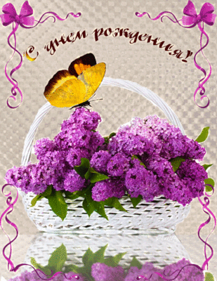 0_147580_c70be23b_orig.gif