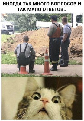 xTkEGwUkzrk.jpg