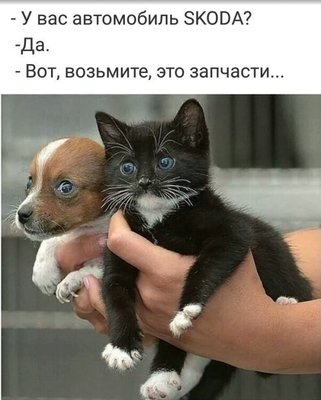 EwQ4J2RPYEI.jpg