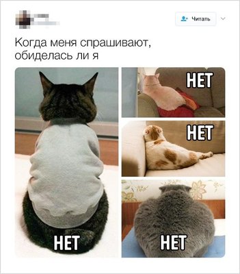 smeshnye-tvity-ot-lyudej-s-xoroshim-chuvstvom-yumora-1.jpg