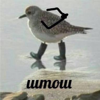 be0pDgimT1g.jpg
