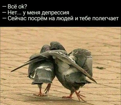 305940a0f9caebf1fea844cb4bafc376.jpg