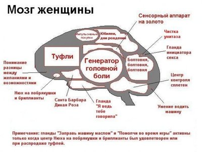 HnR5QS3onFo.jpg