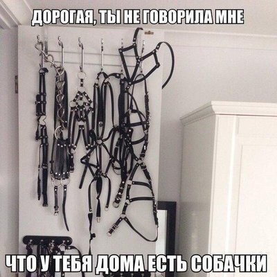 rZSdCfEjKH0.jpg