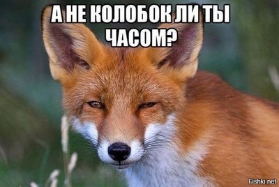 колобок.jpg