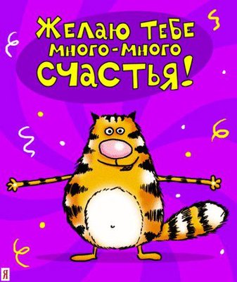 7dc3e082c717239c76177663d845376e.jpg