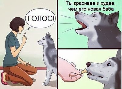 голос.jpg