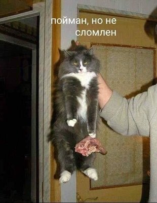 Q822PhrjS_o.jpg