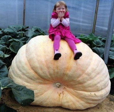 i (7).jpg