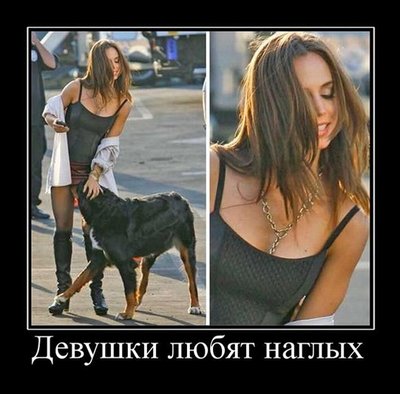devushka-i-sobaka-motivator.jpg
